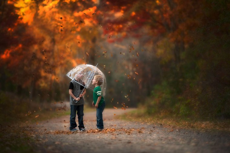 Wilkerson recommends creating a leaf storm by throwing leaves over an umbrella.