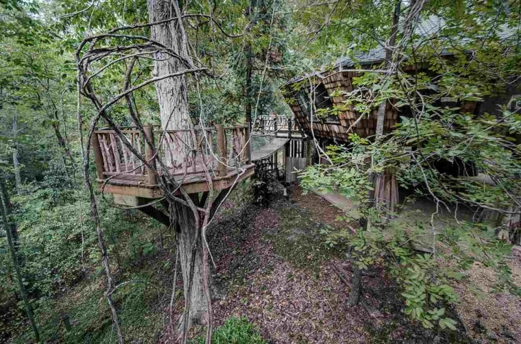 Mississippi treehouse that just sold