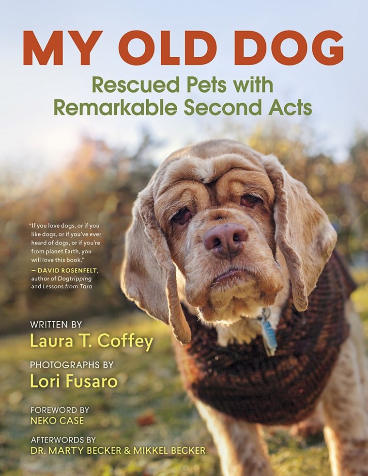 Book cover for "My Old Dog: Rescued Pets with Remarkable Second Acts"