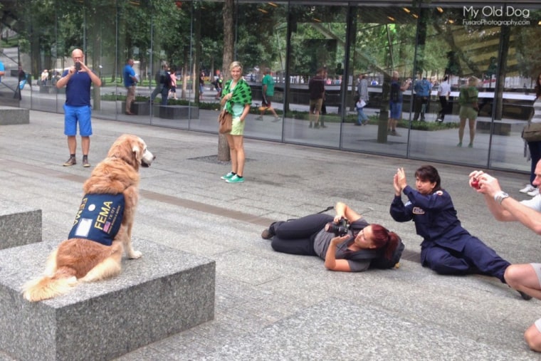 Lori Fusaro photographs Bretagne for the "My Old Dog" book with Denise Corliss’ help at the 9/11 Memorial in September 2014. 