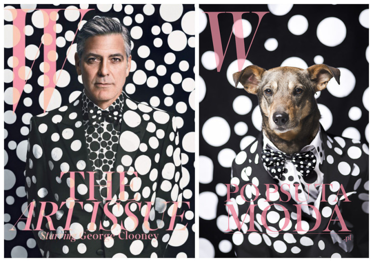 An ad campaign re-created some of the most iconic magazine covers featuring shelter animals