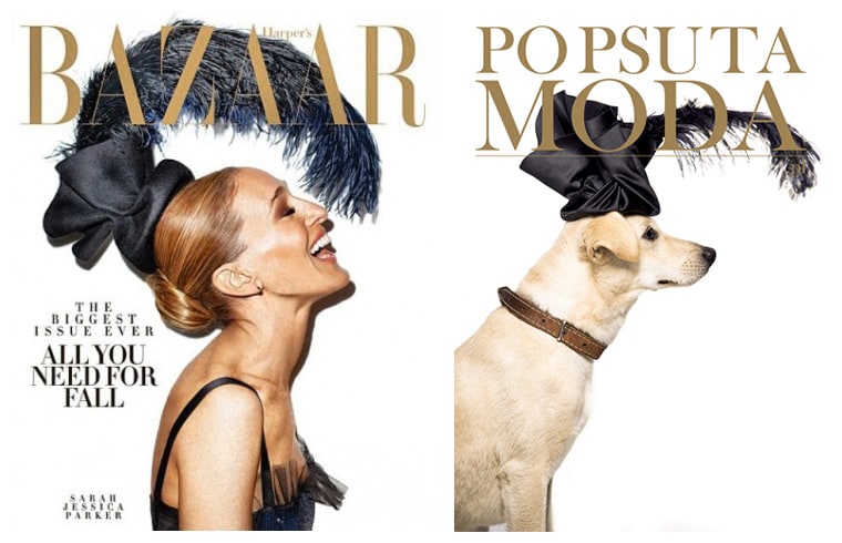 An ad campaign re-created some of the most iconic magazine covers featuring shelter animals