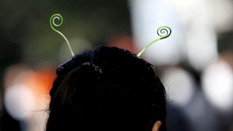 Bean sprout hair clearance pins