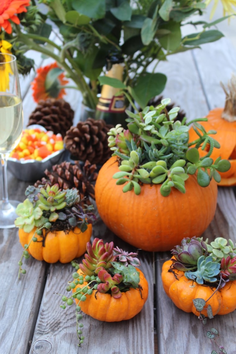 Holiday decorating succulent-filled pumpkins