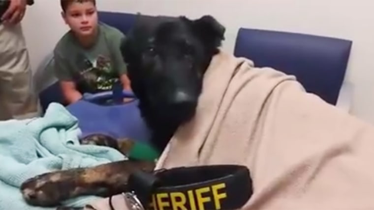 Beloved police dog receives his last call before he died.