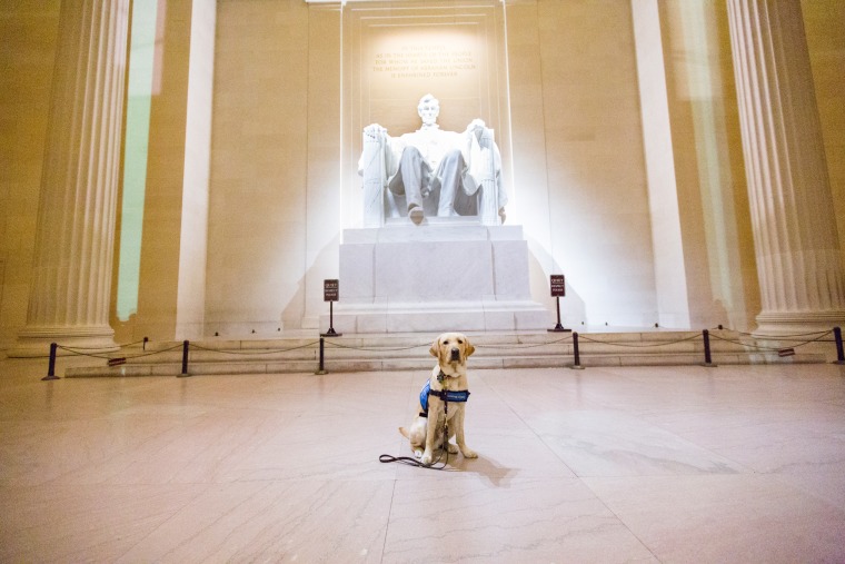 Wrangler on the road; Washington, DC