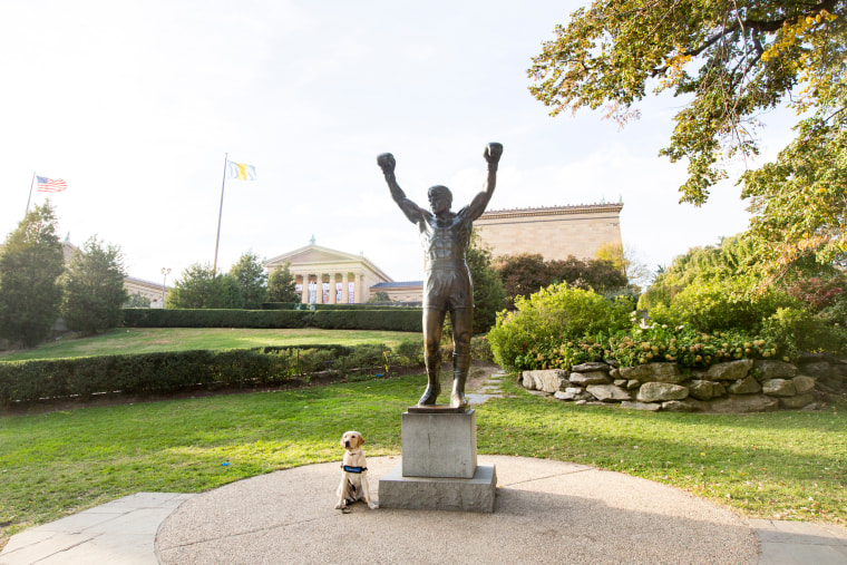 Wrangler on the road; Philadelphia, PA