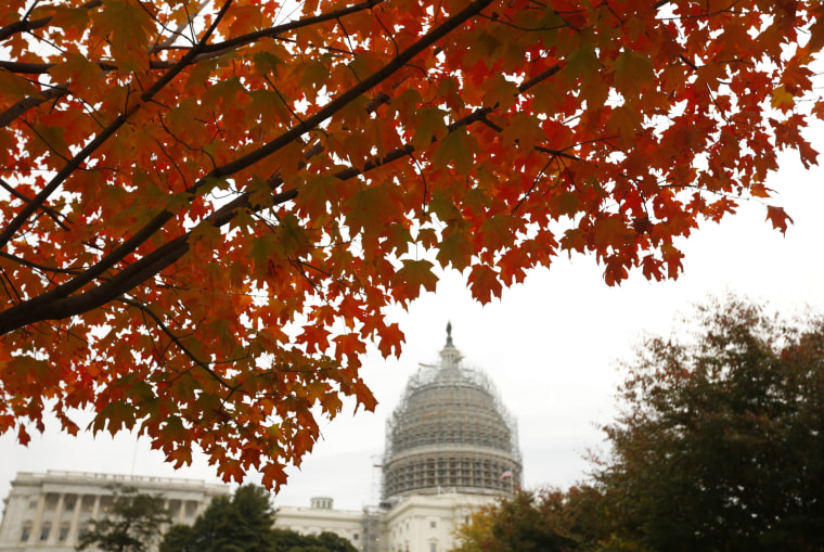 Image: Autumn leaves over the Capitol the morning after the elections in Washington