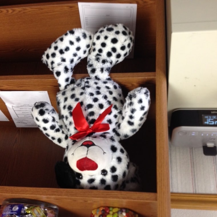 Image: The teddy bear contained five syringes, police said.