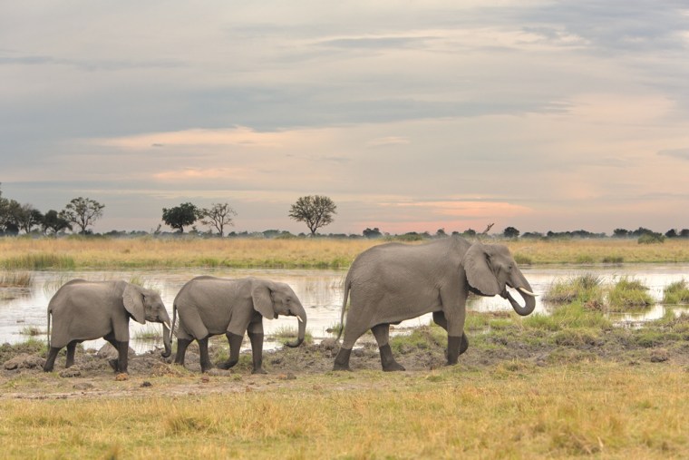 Botswana: Lonely Planet reveals is 2016 list of top travel destinations