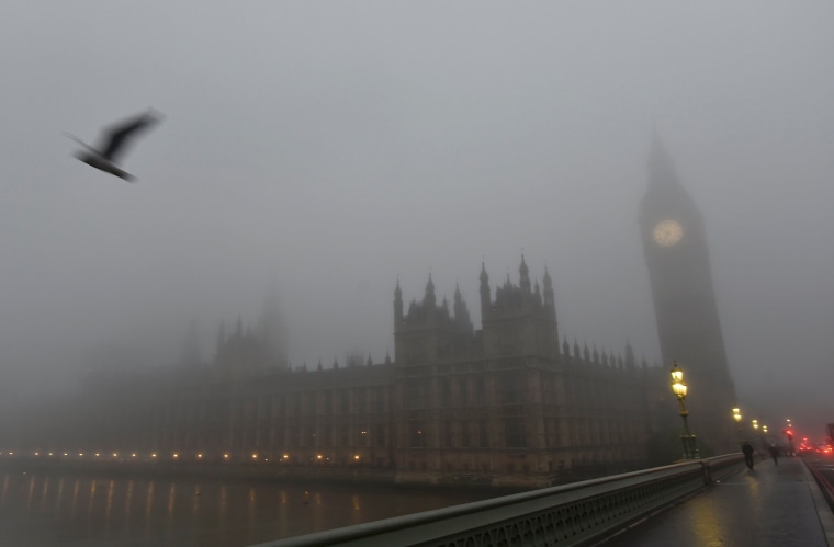Image: A bird flies past the Houses of Parliament in London