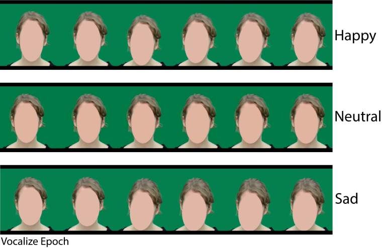 Both men and women move their heads the same -- looking slightly up to express happiness and slightly down to express sadness. 