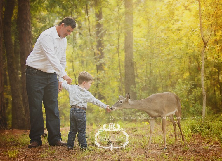 Deer in professional photo