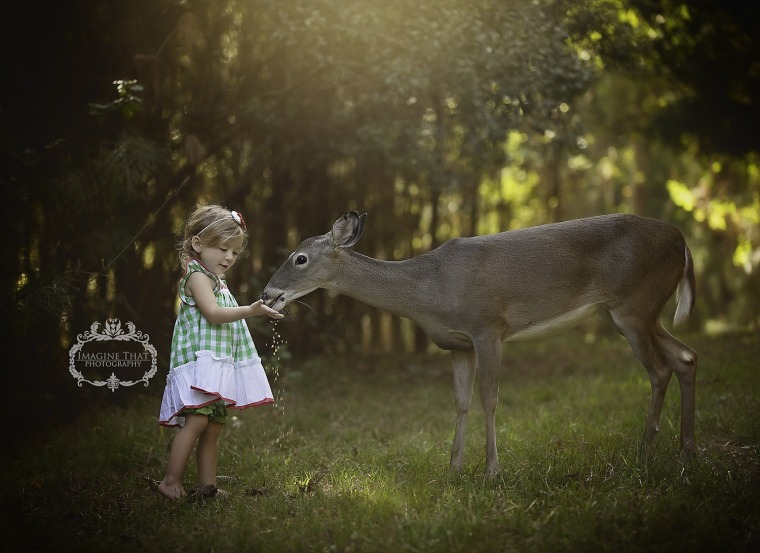 Deer in professional photo