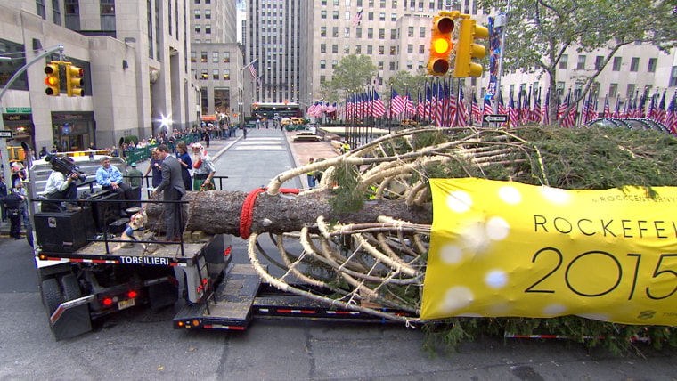 2015 Rockefeller Center Christmas tree