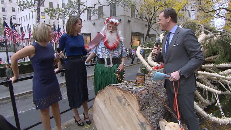 2015 Rockefeller Center Christmas tree