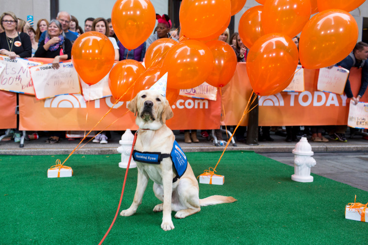 Wrangler celebrates his first birthday