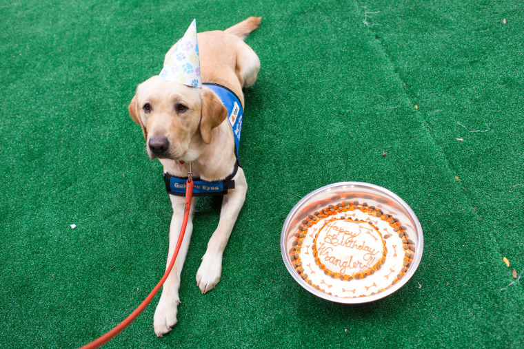 Wrangler celebrates his first birthday