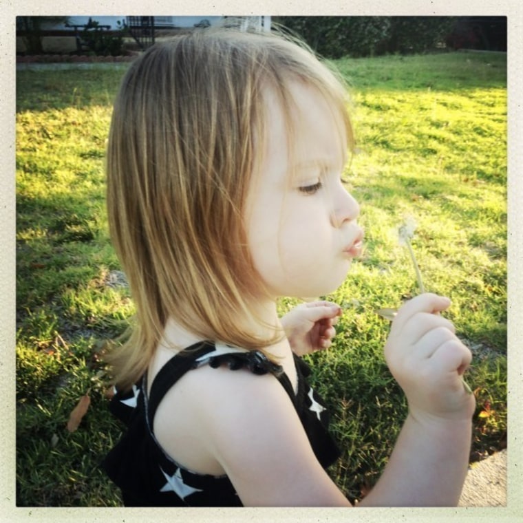 Little girl blowing dandelion