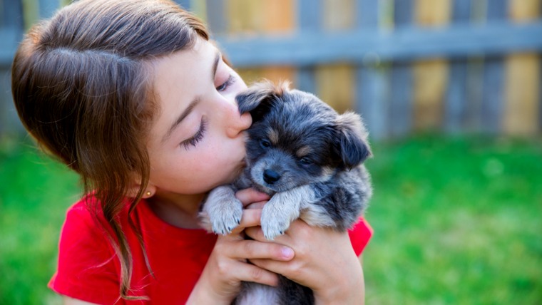 Can a puppy help avert anxiety in children?