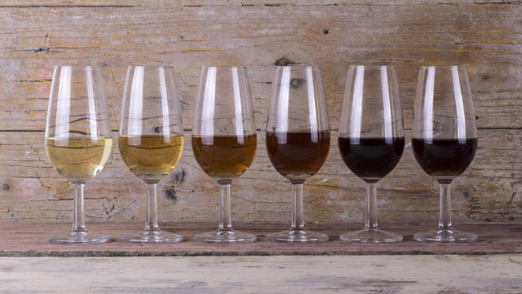 The Best Wine Tasting Glasses: Your Complete Guide to Glassware