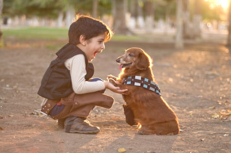 Image: kid with a dog