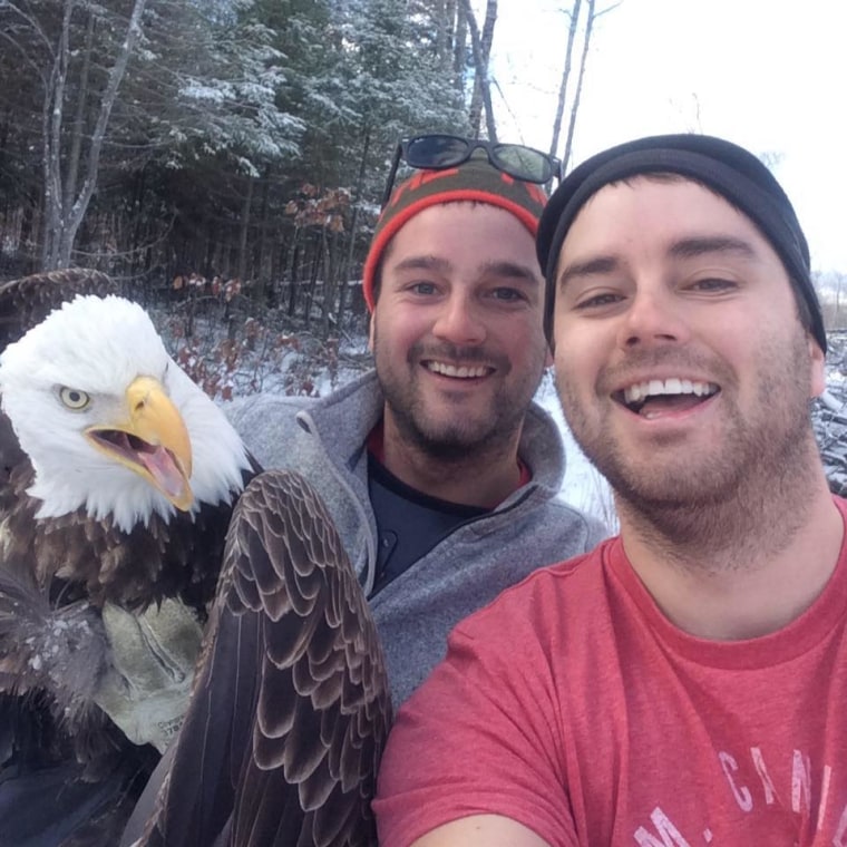 Michael and Neil Fletcher, of Sudbury, Ontario, took a selfie with a bald eagle they rescued from a hunting trap in Canada.