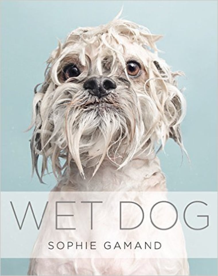 https://media-cldnry.s-nbcnews.com/image/upload/t_fit-760w,f_auto,q_auto:best/newscms/2015_48/873221/wet-dog-book-amazon-today-151123.jpg