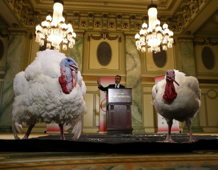 Image: National Thanksgiving Turkey Presented To Media Ahead Of Wednesday's White House Pardon