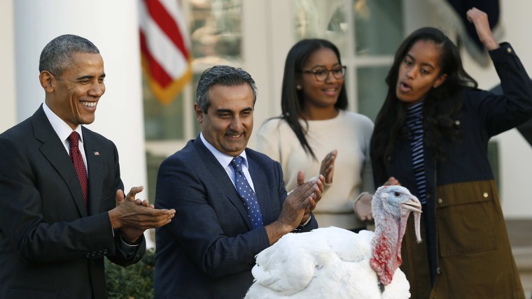 Image: U.S. President Obama performs 68th annual pardoning of Thanksgiving turkey Abe at White House in Washington