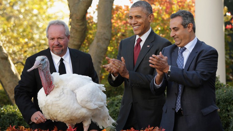 Image: President Obama Pardons National Thanksgiving Turkey