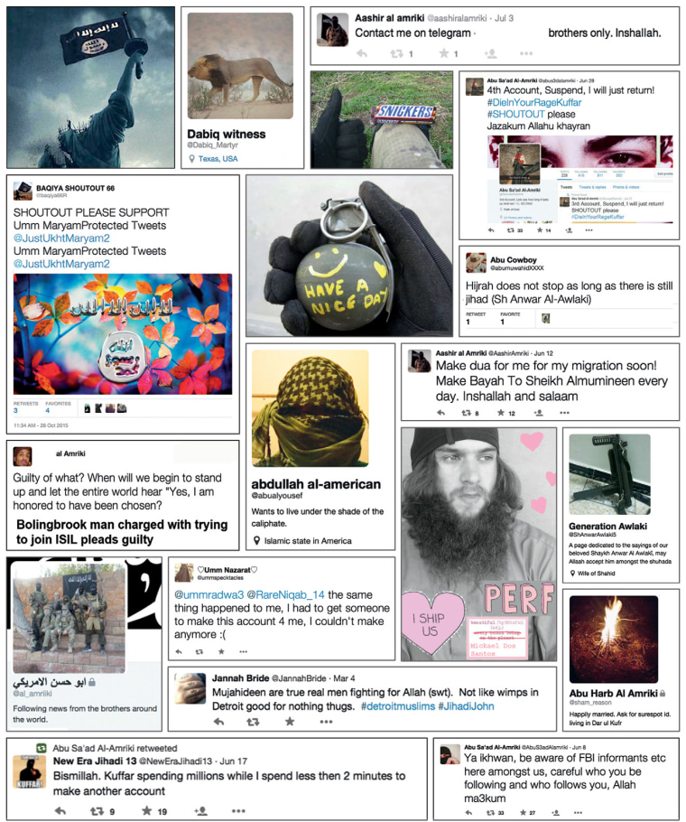 Image: A compilation on tweets included in the Program on Extremism report.