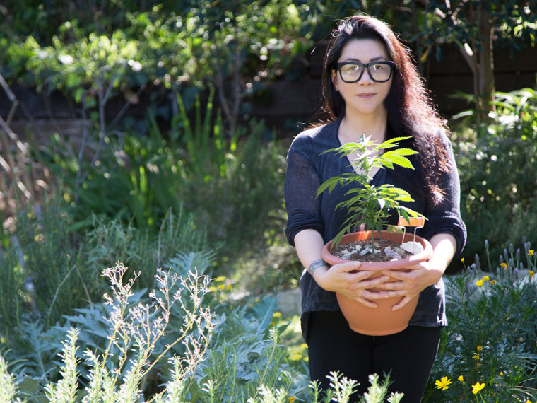 AACE Co-Founder Opehlia Chong carrying a marijuana plant.