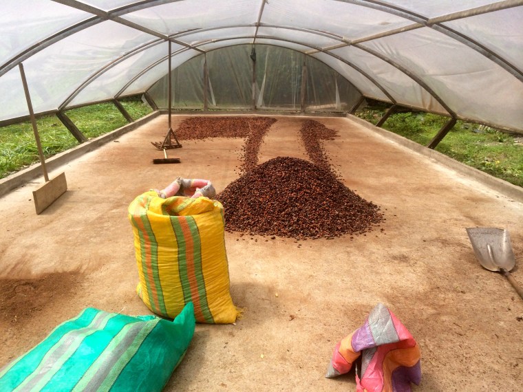 A typical cacao drying facility in the Tierras Orientales region of Ecuador.