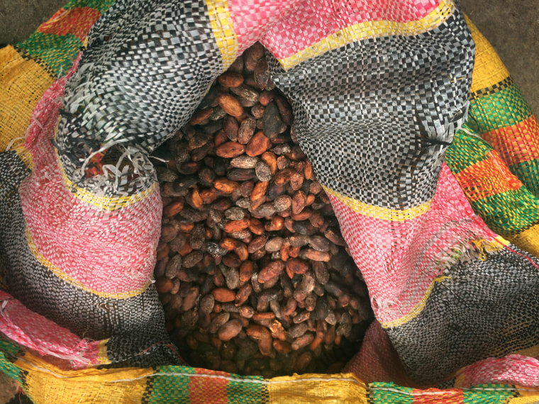Dried cacao beans.