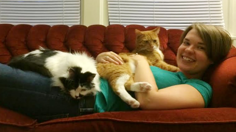 Cat Lady TV