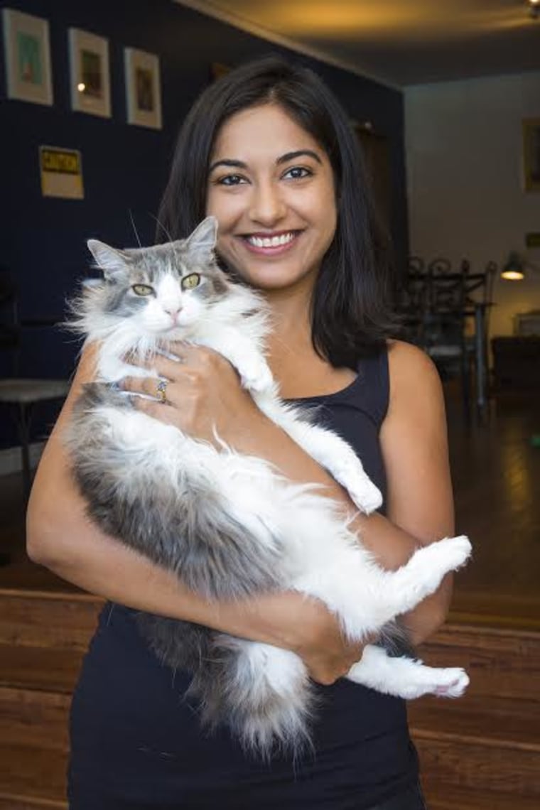 In Denver there's a cat cafe called Denver Cat Co where cat ladies hang out