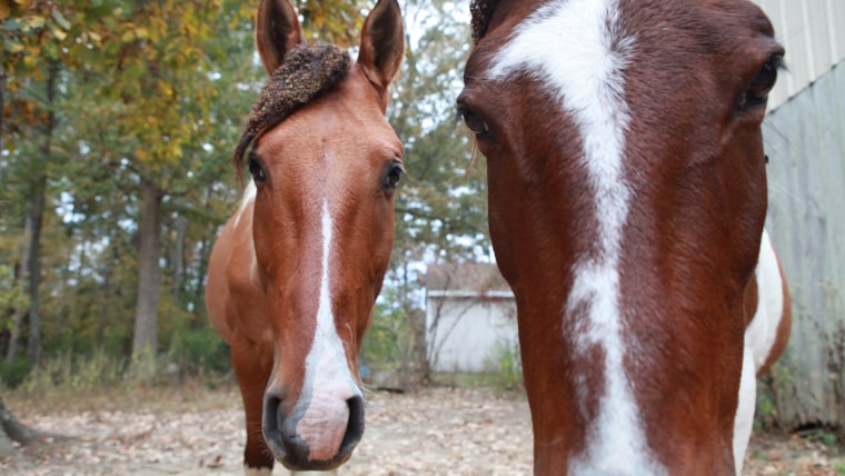 Willie (left) with his mom, who're hoping you'll drop them a line.