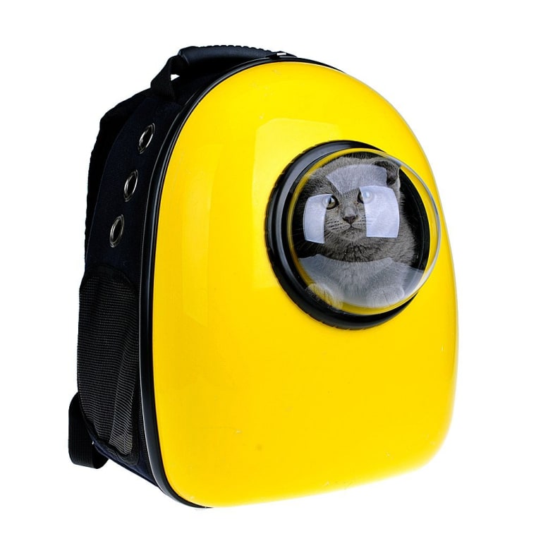 Cat backpack lets kitty see the world through a bubble window