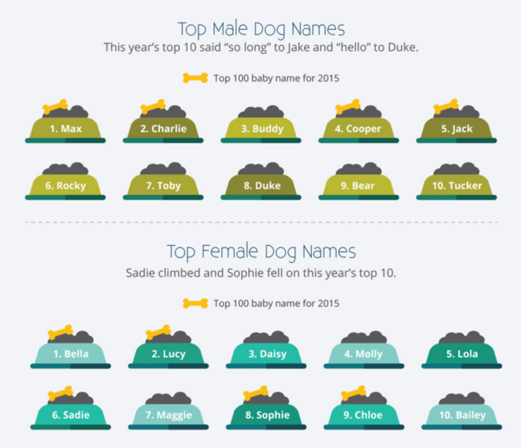 How human is your dog's name? See the people names most common in dogs. -  Washington Post