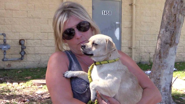 Sherri Stankewitz who lives at her dog shelter was "pranked" with kindness
