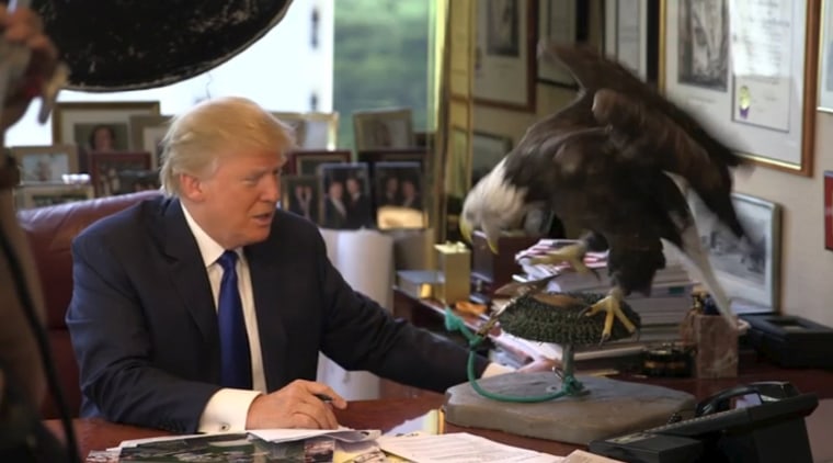 Image: U.S. Republican presidential candidate Donald Trump poses with a bald eagle during a TIME Magazine photoshoot