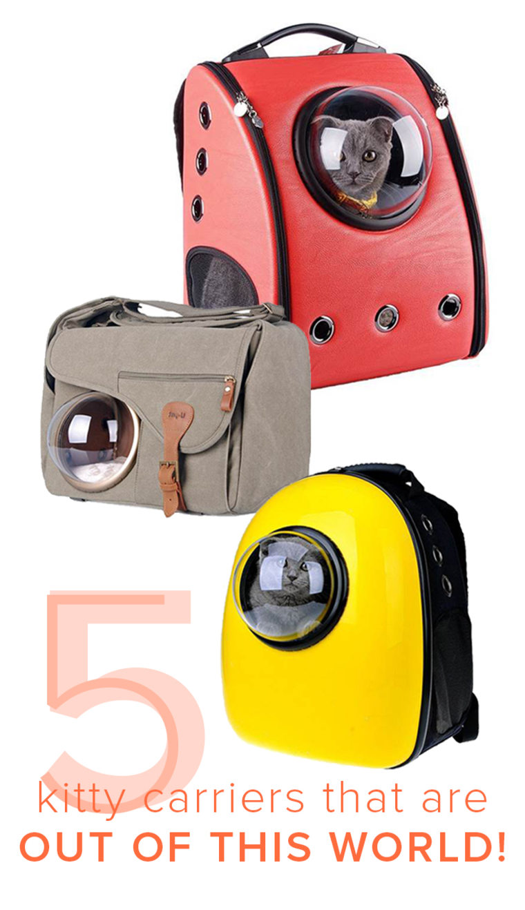 5 cat carriers that are out of this world