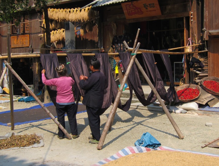 Dong minority grandmothers drying handwoven indigo-dyed cotton cloth.