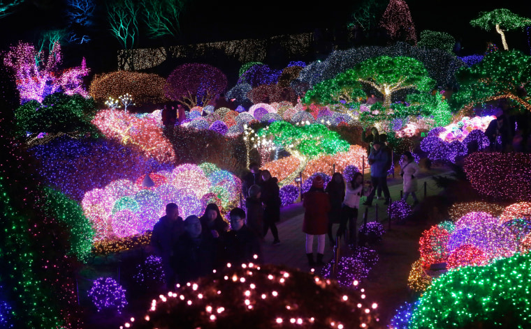 Image: Gapyeong, South Korea Christmas lights