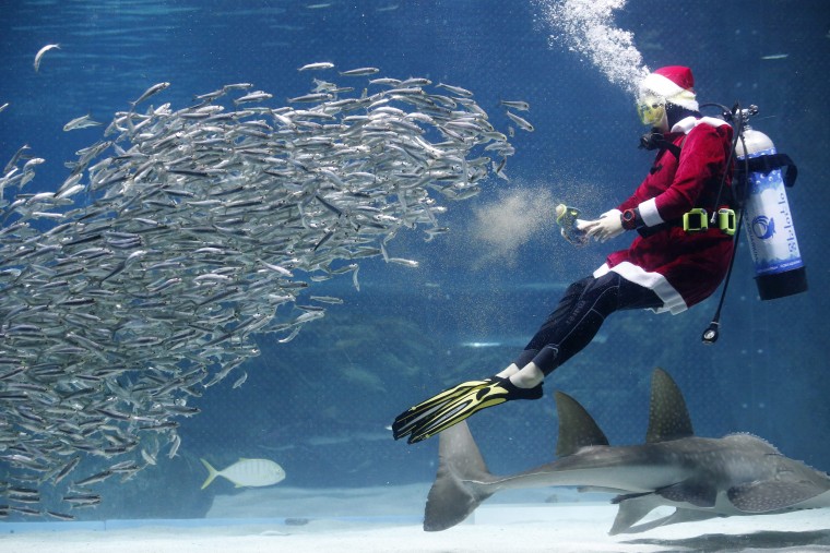 Image: Santa divers in Seoul