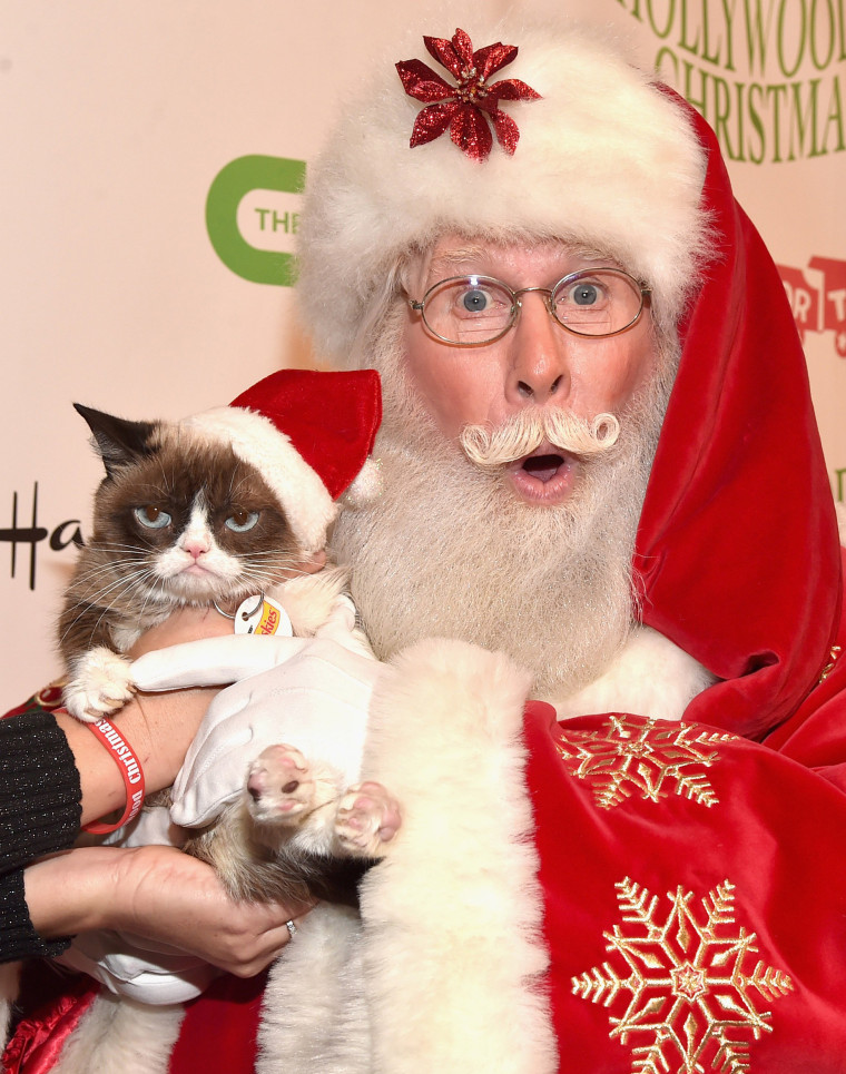 Image: BESTPIX - 2015 Hollywood Christmas Parade