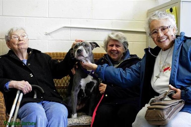 Sisters Alice Goldsmith, Virginia Johnson and Veronica Mendez (left to right) get acquainted with Remy the dog.