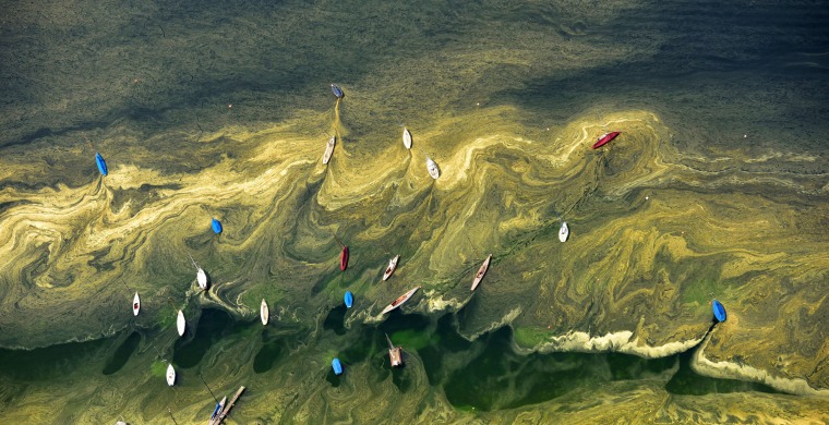Image: Aerial view of sailing boats that lay in the water of a lake