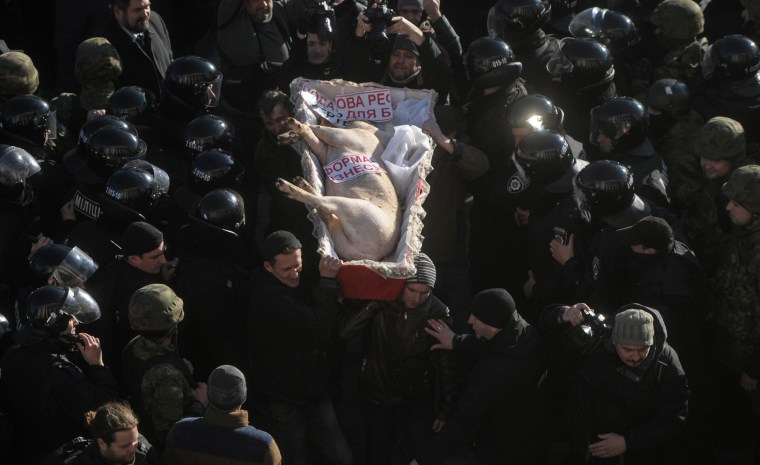 Image: Farmers protest against possible changes in tax regulations in the agricultural sector in Kiev